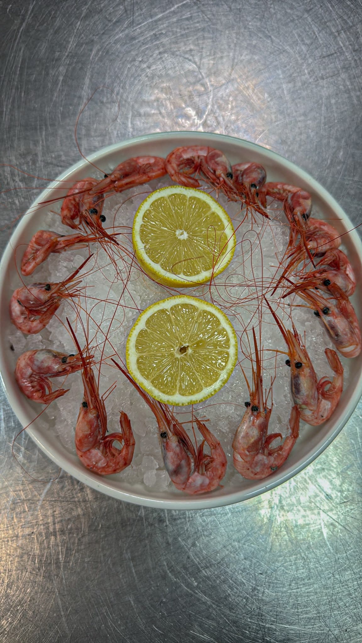 Langostinos rojos del Mediterráneo sobre hielo con limón
